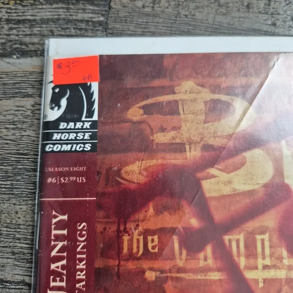 Buffy The Vampire Slayer Comic Faith 8 #6 No Future For You Part 1 Dark Horse